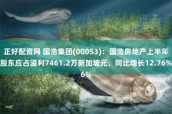 正好配资网 国浩集团(00053)：国浩房地产上半年股东应占溢利7461.2万新加坡元，同比增长12.76%