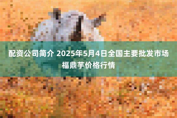 配资公司简介 2025年5月4日全国主要批发市场福鼎芋价格行情
