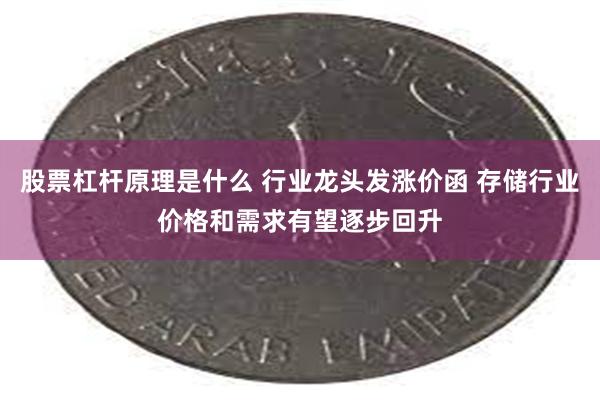 股票杠杆原理是什么 行业龙头发涨价函 存储行业价格和需求有望逐步回升