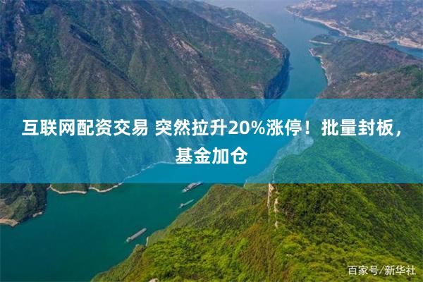 互联网配资交易 突然拉升20%涨停！批量封板，基金加仓