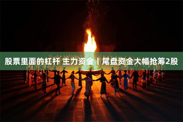 股票里面的杠杆 主力资金丨尾盘资金大幅抢筹2股