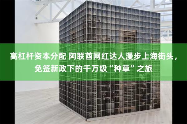 高杠杆资本分配 阿联酋网红达人漫步上海街头，免签新政下的千万级“种草”之旅
