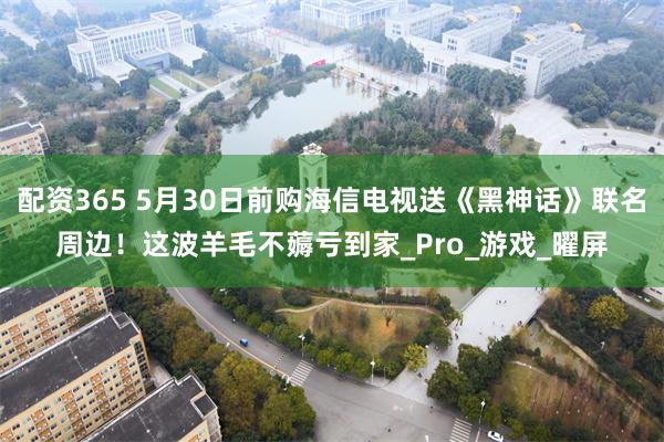 配资365 5月30日前购海信电视送《黑神话》联名周边！这波羊毛不薅亏到家_Pro_游戏_曜屏