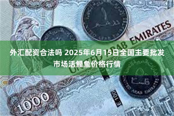 外汇配资合法吗 2025年6月15日全国主要批发市场活鲤鱼价格行情