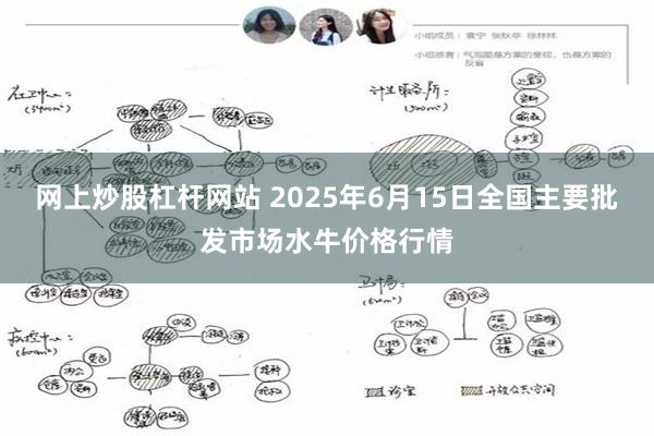 网上炒股杠杆网站 2025年6月15日全国主要批发市场水牛价格行情