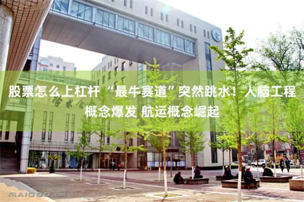 股票怎么上杠杆 “最牛赛道”突然跳水！人脑工程概念爆发 航运概念崛起