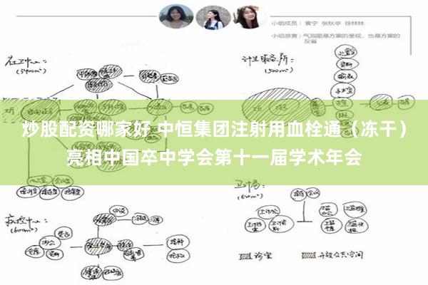 炒股配资哪家好 中恒集团注射用血栓通（冻干）亮相中国卒中学会第十一届学术年会