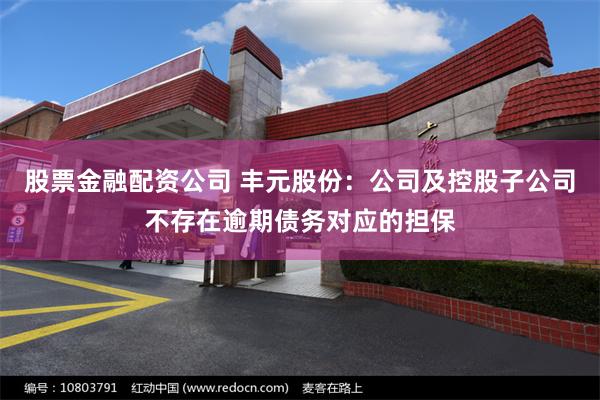 股票金融配资公司 丰元股份：公司及控股子公司不存在逾期债务对应的担保
