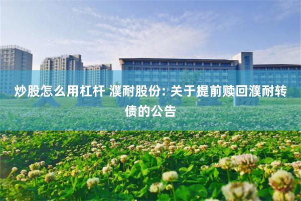 炒股怎么用杠杆 濮耐股份: 关于提前赎回濮耐转债的公告