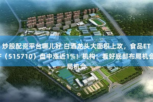 炒股配资平台哪儿好 白酒龙头大面积上攻，食品ETF（515710）盘中涨近1%！机构：看好底部布局机会